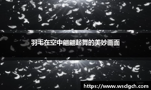 k1体育